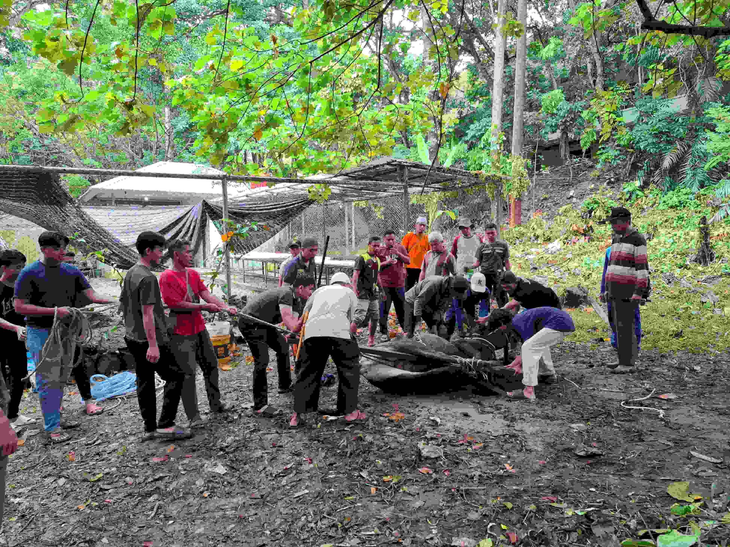 FAKULTAS PERTANIAN UNIVERSITAS JAMBI GELAR QURBAN PERDANA SEBAGAI WUJUD SYUKUR DAN KEPEDULIAN SOSIAL FAKULTAS PERTANIAN UNIVERSITAS JAMBI GELAR QURBAN PERDANA SEBAGAI WUJUD SYUKUR DAN KEPEDULIAN SOSIAL